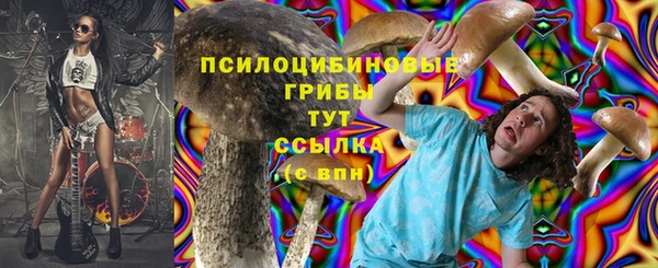 PSILOCYBIN Нефтекумск