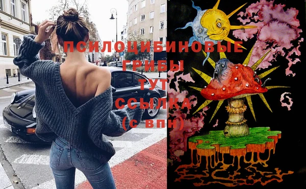 соль ск Аркадак